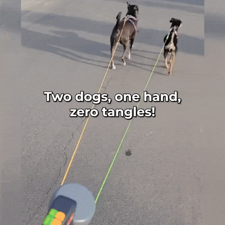 Miracle Dual Dog Leash