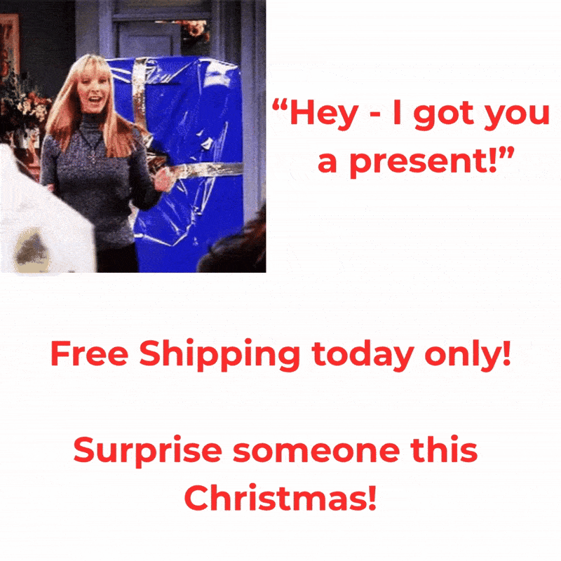 HolidayMystery™ – Christmas Bookcase Blind Box